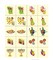 Chanukah Themed Memory Matching Game – Educational Jewish Holiday Game for Kids & Classrooms